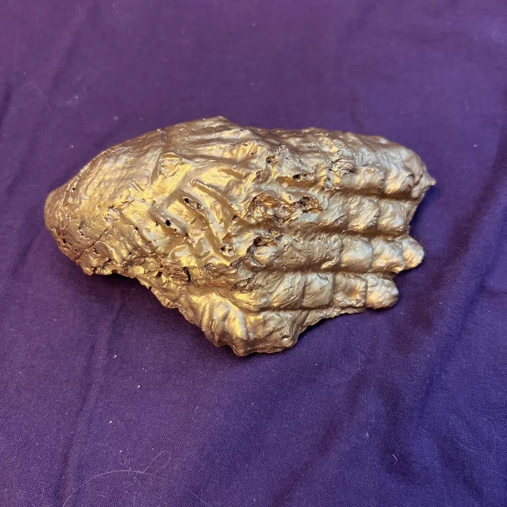 Shelly Cove beautiful hand